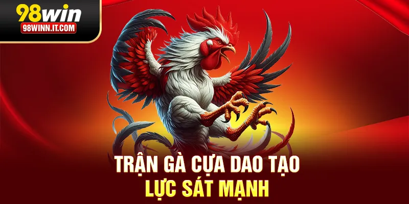 Trận gà cựa dao tạo lực chiến mạnh